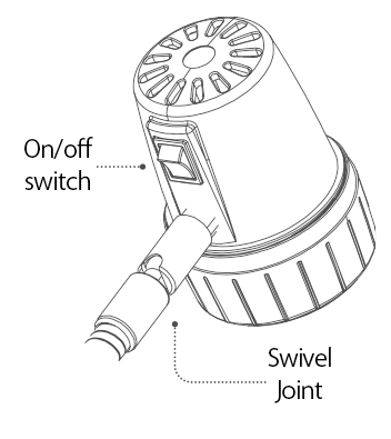 Gemini Head Close up