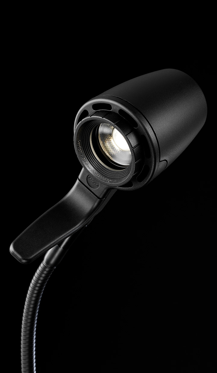 Reading in natural daylight