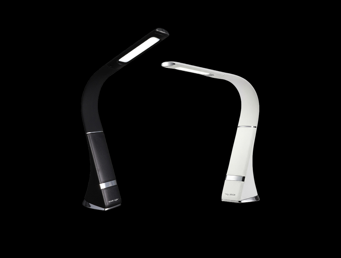 HD ROAM portable reading light