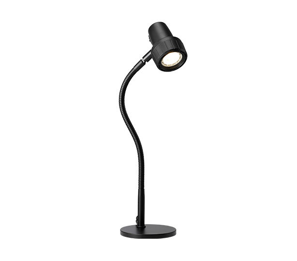 Compact Bulb